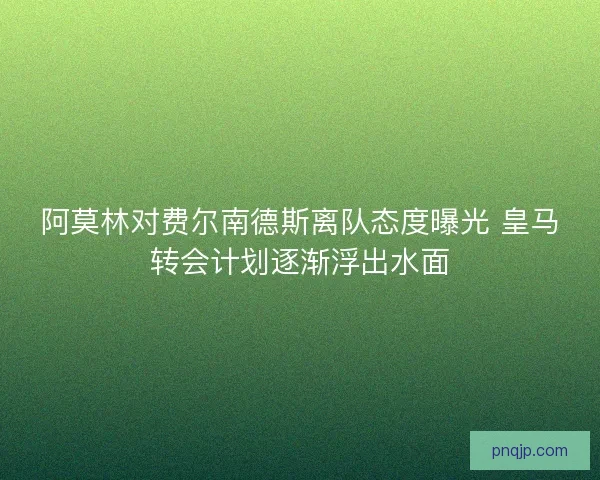 阿莫林对费尔南德斯离队态度曝光 皇马转会计划逐渐浮出水面