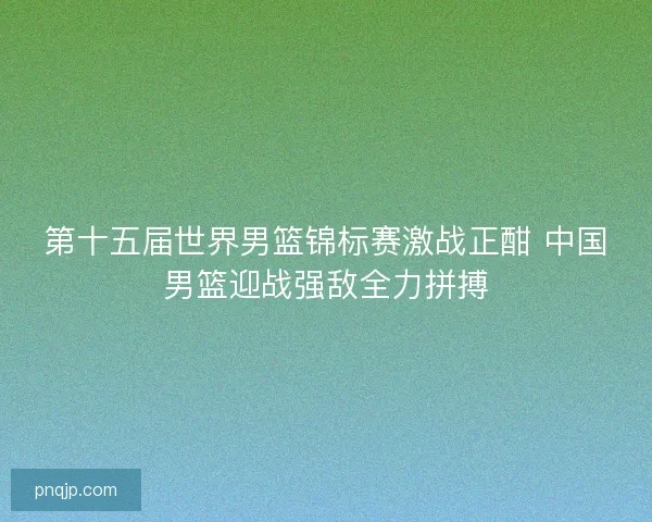 第十五届世界男篮锦标赛激战正酣 中国男篮迎战强敌全力拼搏